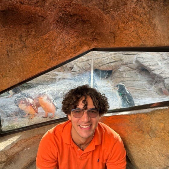 Farouk Rafaat profile picture